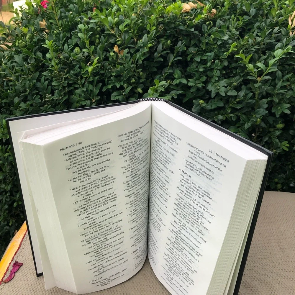 Holy Bible New International Version by Zondervan 2011